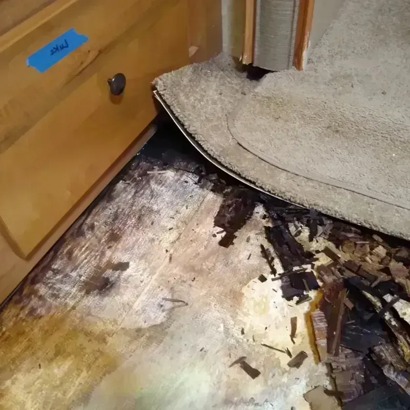 Wood Floor Water Damage in Manchester, GA